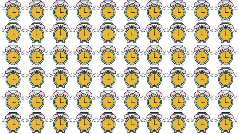 Optical Illusion Visual Test: If you have Eagle Eyes find the Odd clock in 18 Seconds - networth, wiki, biography