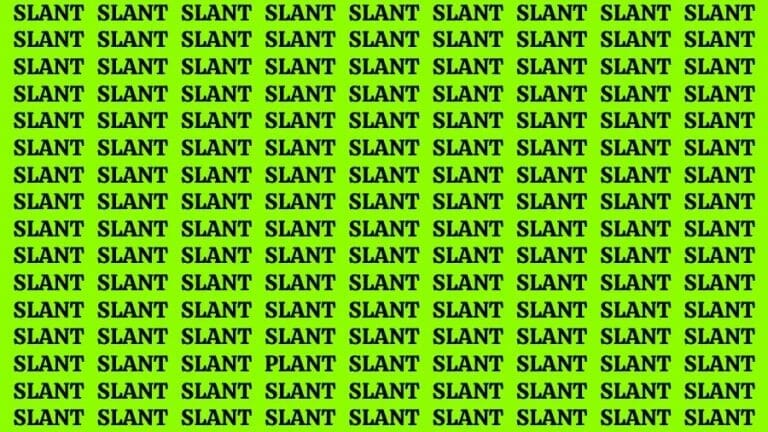 Optical Illusion Visual Test: If you have Eagle Eyes Find the Word Plant in 14 Secs - networth, wiki, biography