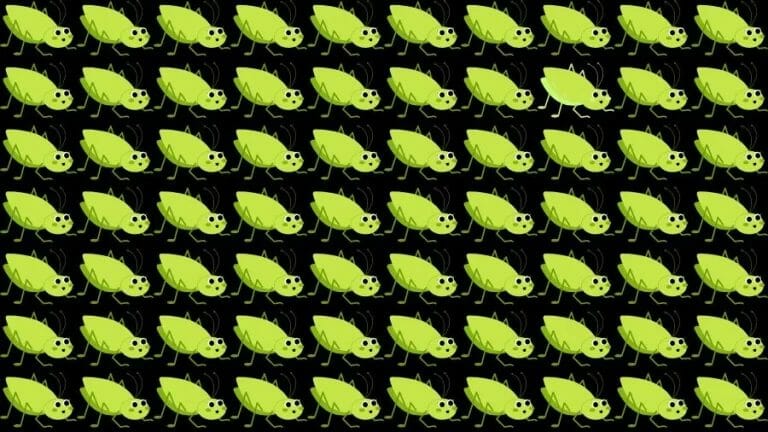Optical Illusion Brain Challenge: If you have Eagle Eyes find the Odd Grasshopper in 15 Seconds - networth, wiki, biography