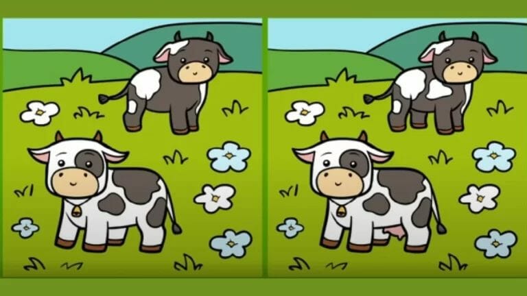 Optical Illusion Spot the Difference Game: If You Have Eagle Eyes Find the 3 Difference Between Two Images Within 15 Seconds? - networth, wiki, biography