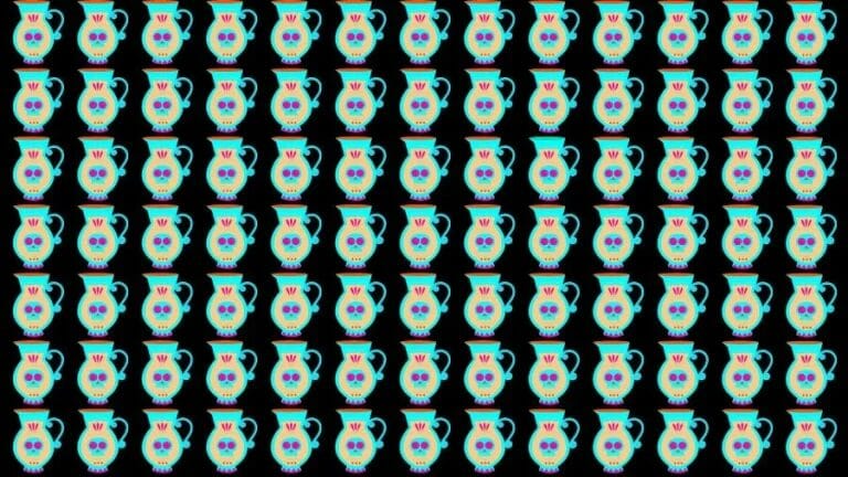 Optical Illusion Visual Test: If you have Eagle Eyes find the Odd Jug in 18 Seconds - networth, wiki, biography