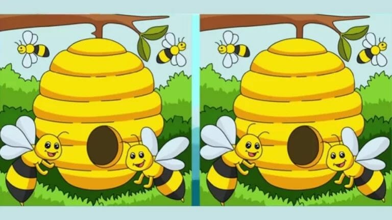 Observation Spot the Difference: If You Have Sharp Eyes Find the 3 Difference Between Two Images? - networth, wiki, biography