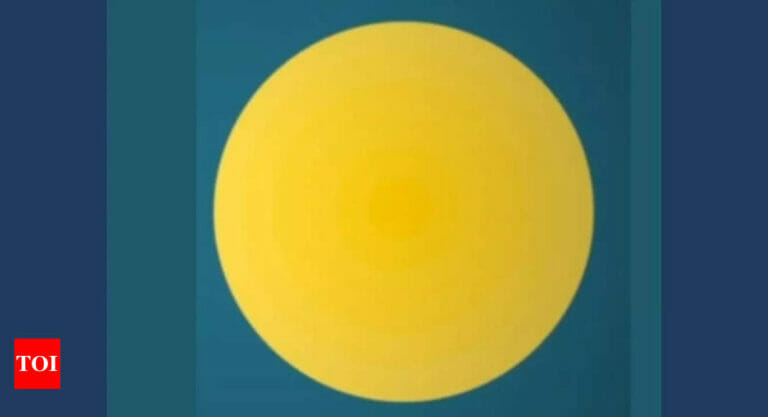 Optical illusion: Can you count how many circles are in this picture? - networth, wiki, biography