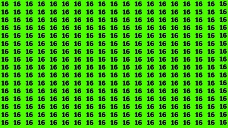 Optical Illusion Brain Challenge: If you have Sharp Eyes Find the Number 15 among 16 in 15 Secs - networth, wiki, biography