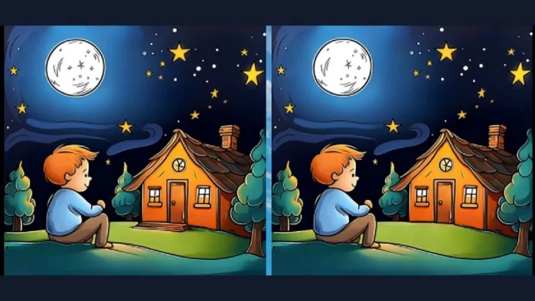 Optical Illusion Spot the Difference Game: If You Have Sharp Eyes Find the 3 Difference Between Two Images Within 25 Seconds? - networth, wiki, biography