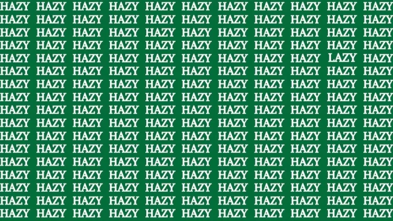 Optical Illusion Brain Challenge: If you have Sharp Eyes Find the Word Lazy among Hazy in 18 Secs - networth, wiki, biography