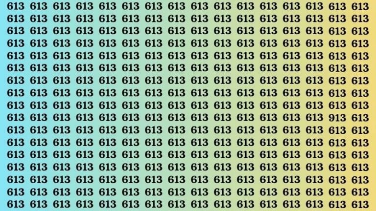 Optical Illusion Visual Test: If you have Sharp Eyes Find the Number 913 in 16 Secs - networth, wiki, biography