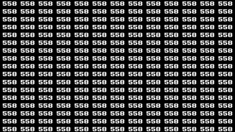 Optical Illusion Brain Challenge: If you have 50/50 Vision Find the Number 553 among 558 in 14 Secs - networth, wiki, biography