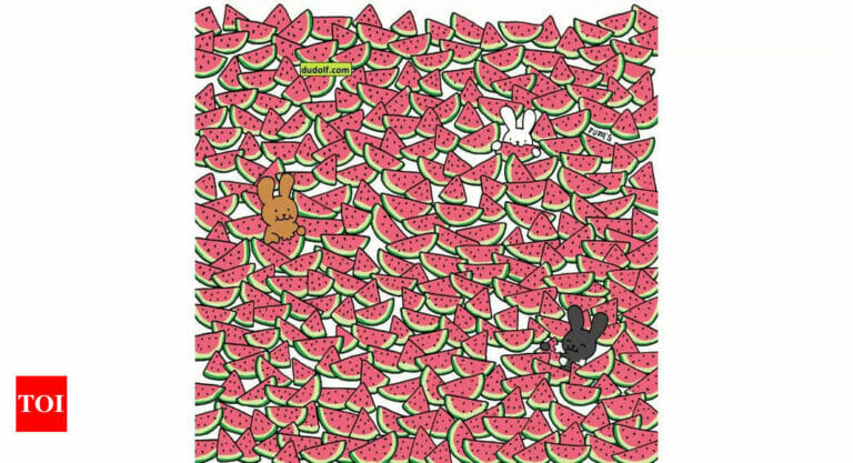 Brain teaser: How long does it take to spot 5 seedless melons? - networth, wiki, biography