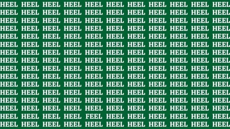 Optical Illusion Visual Test: If you have Eagle Eyes Find the Word Feel in 14 Secs - networth, wiki, biography
