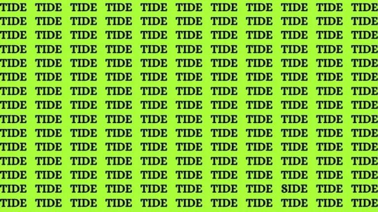 Optical Illusion Visual Test: If you have 50/50 Vision Find the Word Side in 17 Secs - networth, wiki, biography