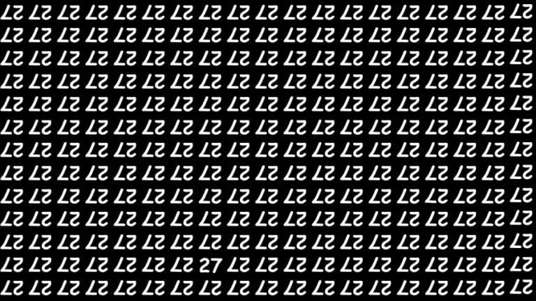 Optical Illusion Brain Challenge: If you have Hawk Eyes Find the Number 27 in 15 Secs - networth, wiki, biography