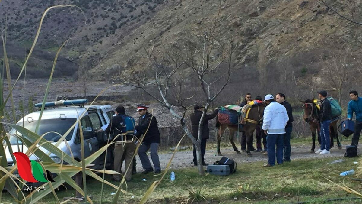 @Jimmy_Jonesx3 Comments On Murders Of Louisa, Real Name, Instagram 2023 - networth, wiki, biography