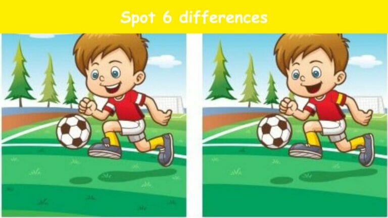 Challenge your observation skills and spot 6 differences between pictures of a boy playing soccer in 25 seconds! - networth, wiki, biography