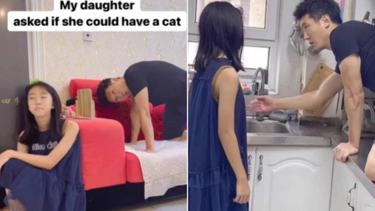 Dad imitates cat to show his daughter what to expect when getting a kitty - networth, wiki, biography