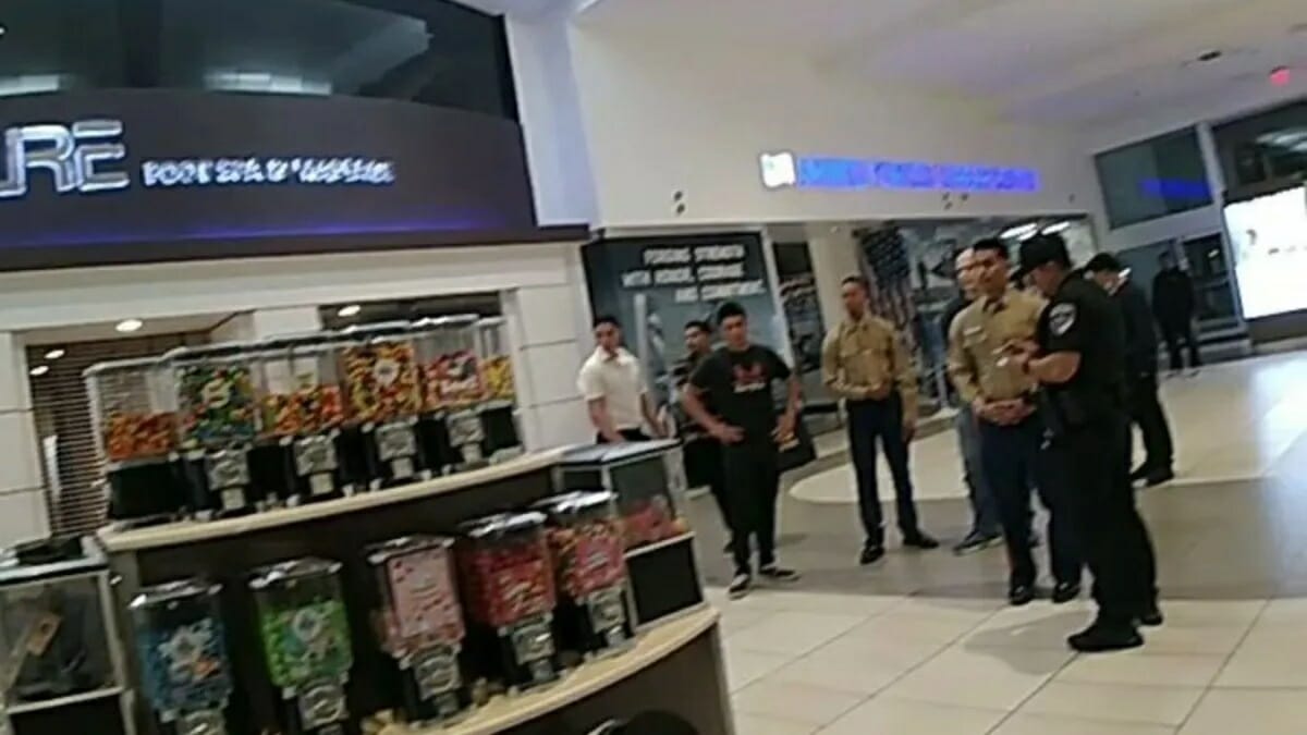 Del Amo Mall Robbery: Youth brawls draw hundreds to California malls 2023 - networth, wiki, biography