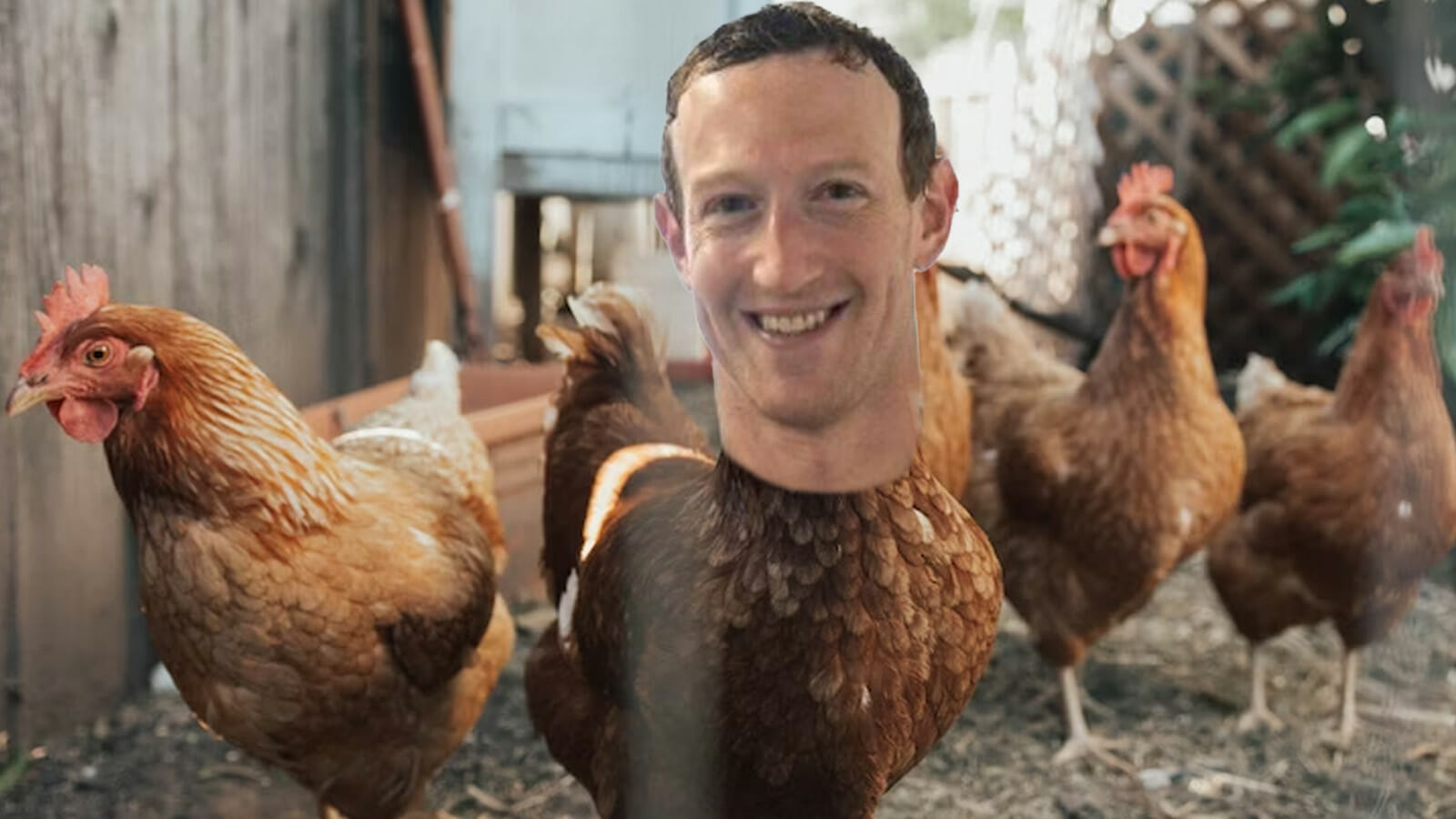 Elon Musk calls Mark Zuckerberg a “chicken” after Meta CEO claims fight isn’t happening 2023 - networth, wiki, biography