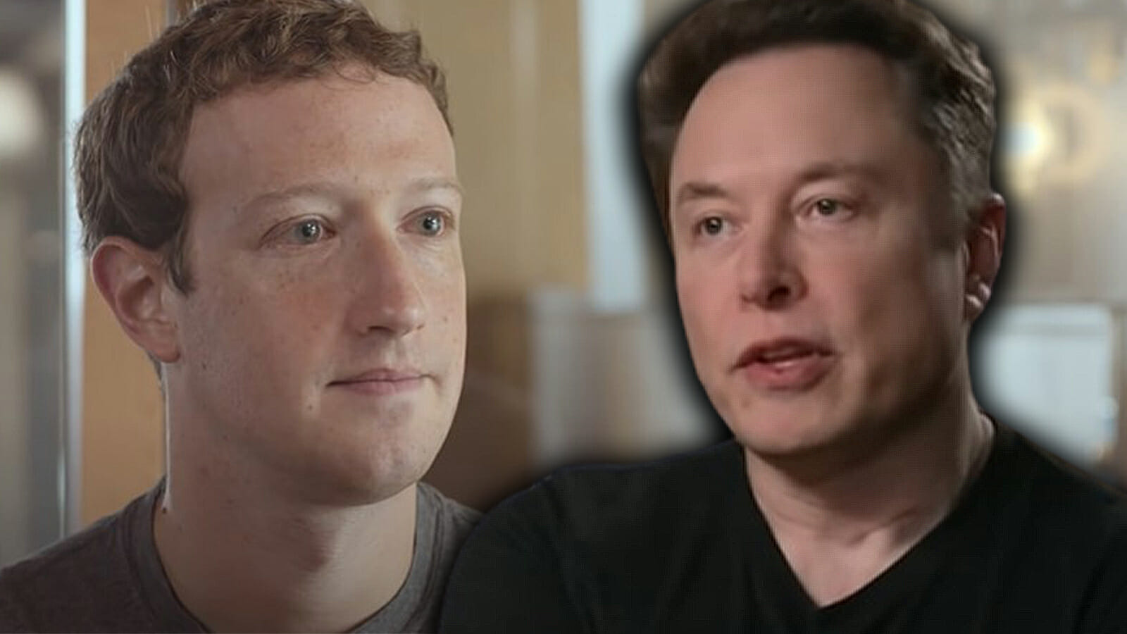 Elon Musk publicly accepts Mark Zuckerberg fight challenge 2023 - networth, wiki, biography