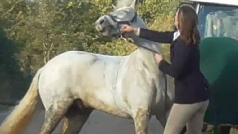 Ex-school teacher Sarah Moulds sobs ‘my life has been torn to pieces’ after moment she punched horse is played in court - networth, wiki, biography
