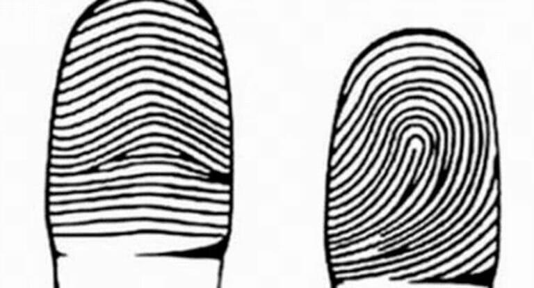 Find out if you are an energetic person by showing what kind of fingerprint you have - networth, wiki, biography