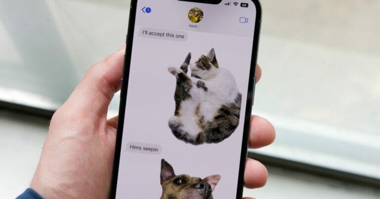 How to block text messages on iPhone and Android - networth, wiki, biography