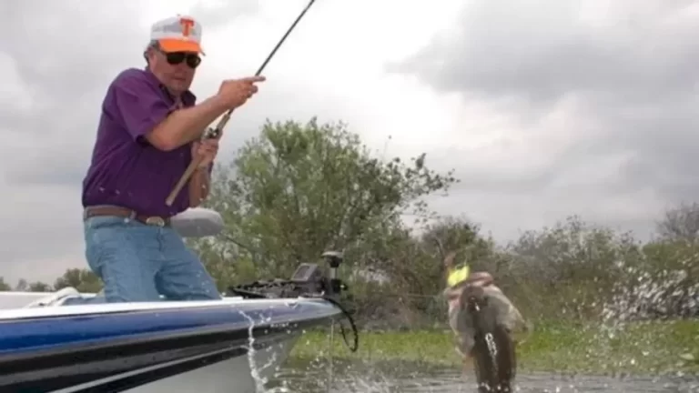 Is Bill Dance Dead Or Alive? What Happened To Bill Dance? - networth, wiki, biography