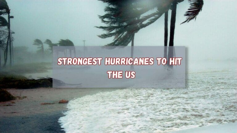 List of the strongest US hurricanes - networth, wiki, biography