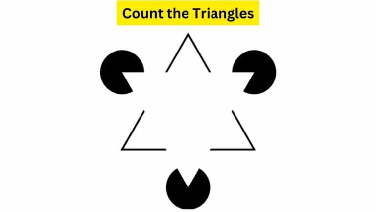 Logic Test: How many triangles do you see in the picture? - networth, wiki, biography