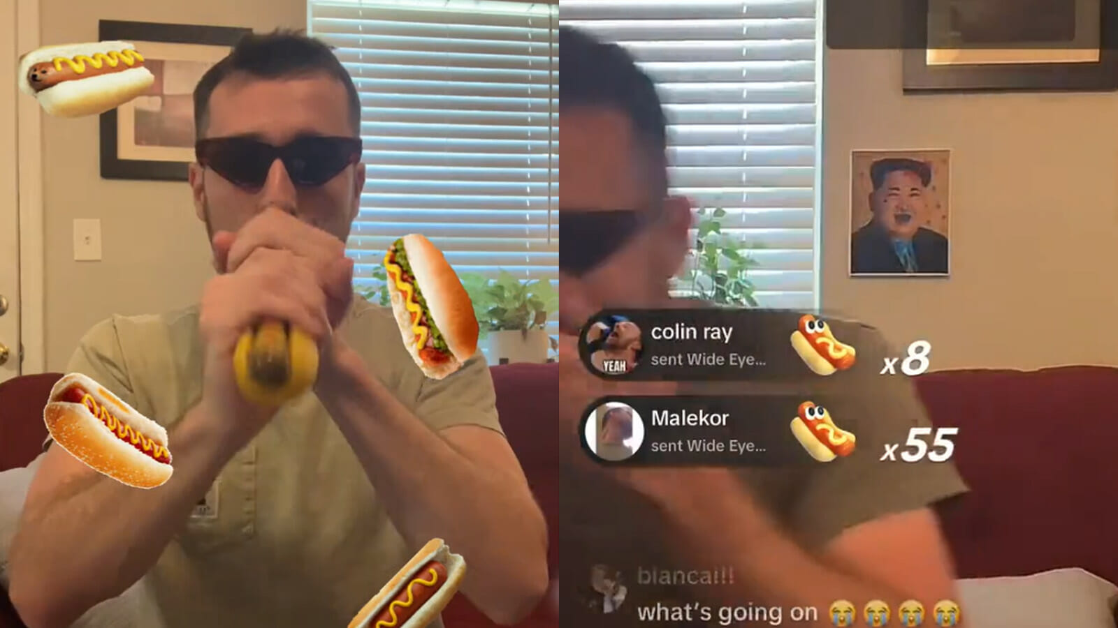 NPC TikToker destroys character after conquering hotdog gift: “Glizzy Overdrive” 2023 - networth, wiki, biography