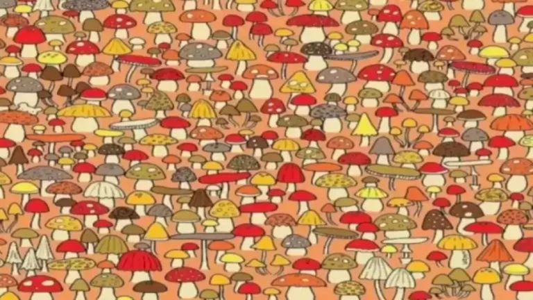 Observation Find it Out: Only Eagle eyed people can spot the Mouse in less than 10 seconds - networth, wiki, biography