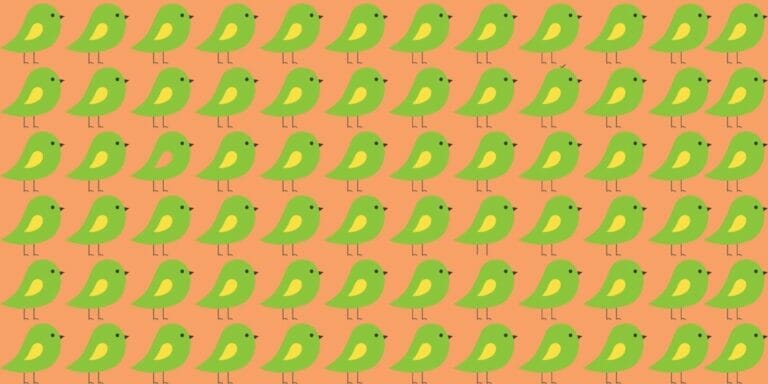 Observation test: Can you find the 3 odd birds in less than 15 seconds? Challenge your visual skills! - networth, wiki, biography