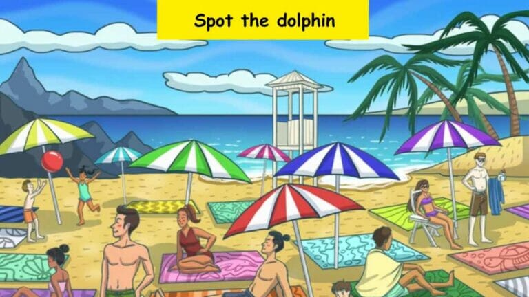 Only eagle eyes can spot a dolphin on the beach in 6 seconds! - networth, wiki, biography