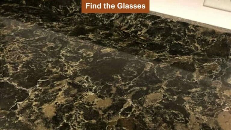 Only the sharpest eyes can spot the pair of glasses on the tabletop in 9 seconds! - networth, wiki, biography