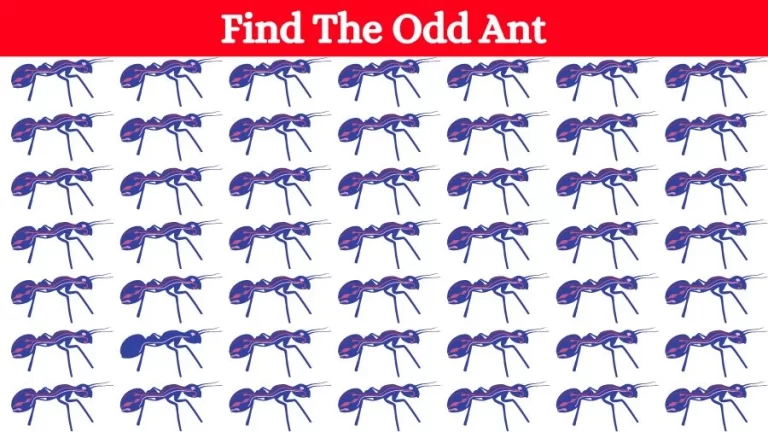 Optical Illusion Brain Challenge: Can you find the Odd Ant in 12 Seconds? - networth, wiki, biography
