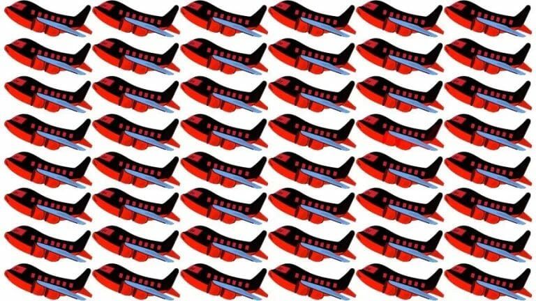 Optical Illusion Eye Test: Try to find the Odd Airplane in this Image - networth, wiki, biography