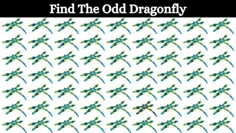 Optical Illusion Eye Test: Try to find the Odd Dragonfly in this Image - networth, wiki, biography