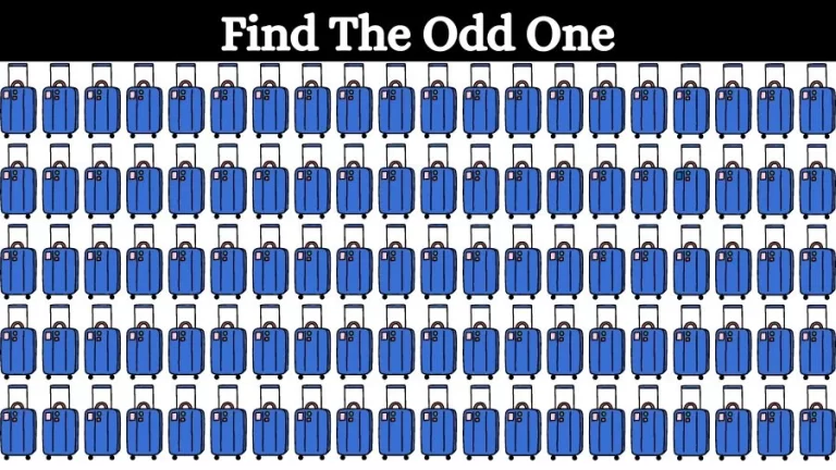 Optical Illusion Eye Test: Try to find the Odd Suitcase in this Image - networth, wiki, biography