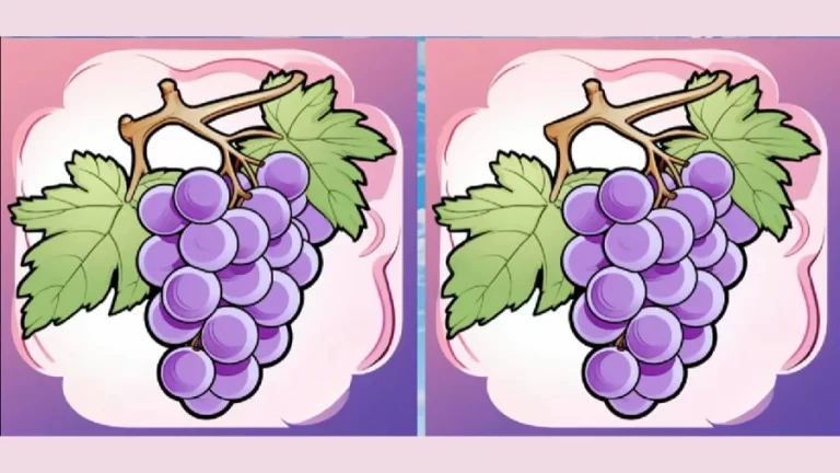 Optical Illusion Spot the Difference: Can You Find the 3 Difference Between Two Images Within 30 Seconds? - networth, wiki, biography