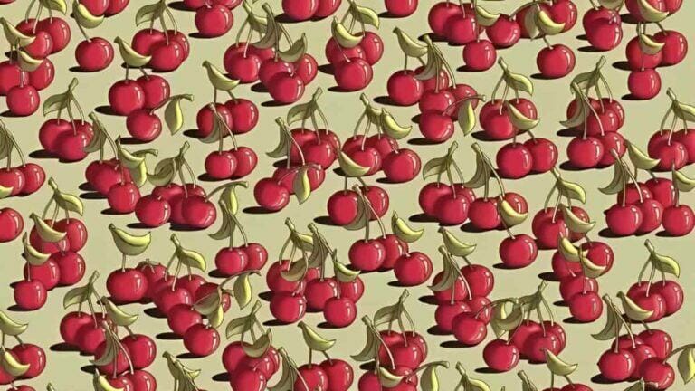 Can you find a tomato among cherries in 9 seconds? - networth, wiki, biography