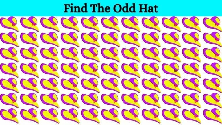 Optical Illusion: Try to find the Odd Hat in this Image - networth, wiki, biography