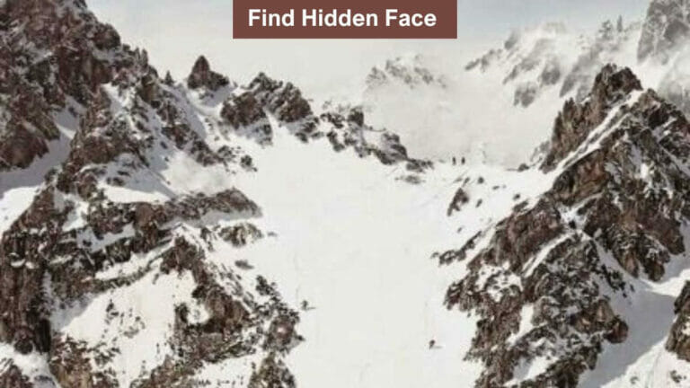 Optical Illusion to Test Your Vision: Find the Hidden Face in Mountains in 5 Seconds! - networth, wiki, biography