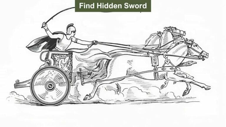 Optical illusion to test your eyesight: Find the soldier’s hidden sword in 9 seconds! - networth, wiki, biography
