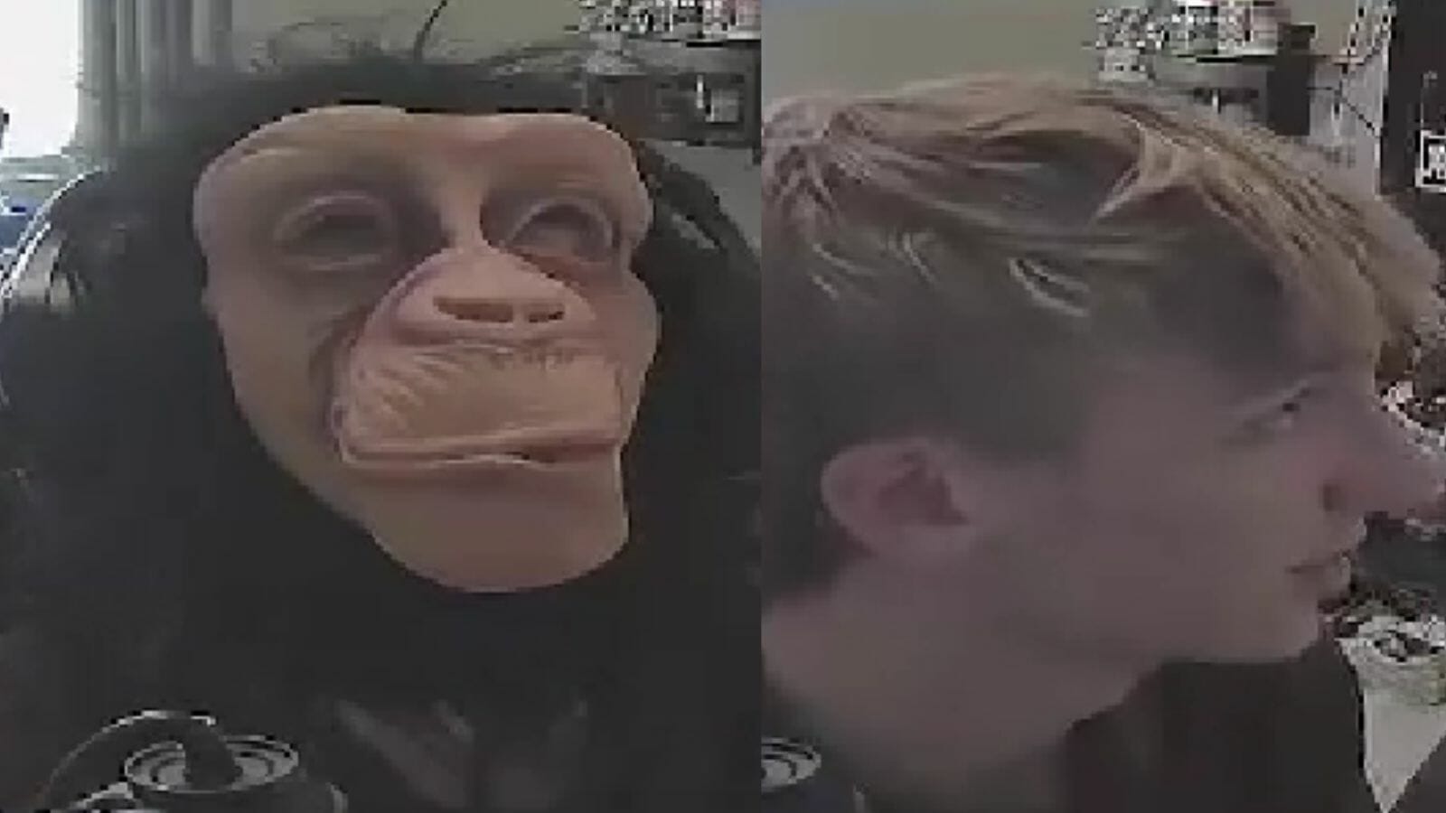 Overwatch 2 streamer was completely embarrassed when his father dressed in Winston walked in 2023 - networth, wiki, biography