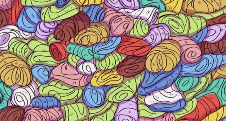 Prueba tu conocimiento: tienes 10 segundos para encontrar al perro entre las toallas - networth, wiki, biography