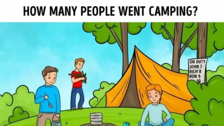Puzzle to Test Your IQ: Only people with sharp brains can solve this brain puzzle. Can you spot how many people went camping by looking at the picture within 5 seconds? - networth, wiki, biography