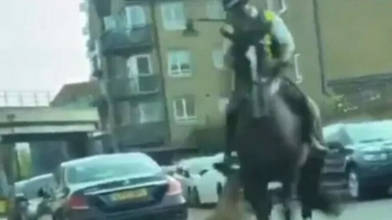 Shocking moment ferocious dog attacks police horse before cop thrown onto road - networth, wiki, biography