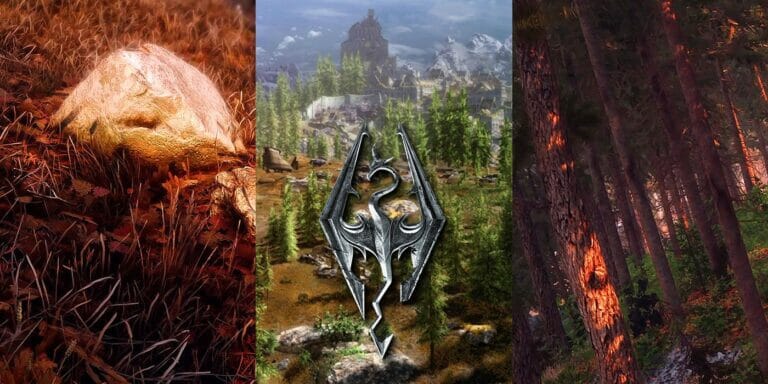 Skyrim: The 10 Best Environmental Add-On Mods To Date - networth, wiki, biography