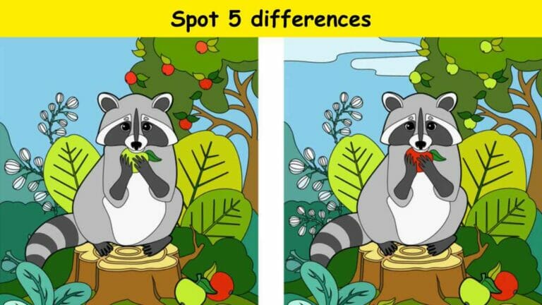 Spot 5 differences in the raccoon picture in 25 seconds.  Test your attention! - networth, wiki, biography