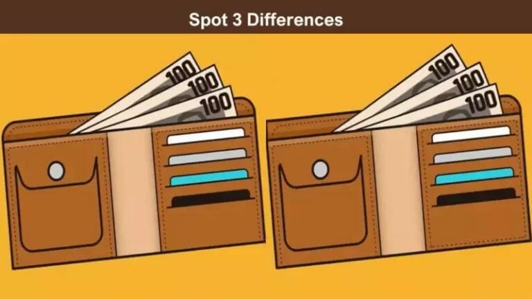 Spot the difference: There are three differences between the two wallet pictures. Can you spot all the differences in 7 seconds? Attempt now! - networth, wiki, biography