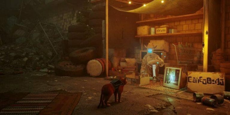Stray: Every Barter Item Location In The Slums - networth, wiki, biography